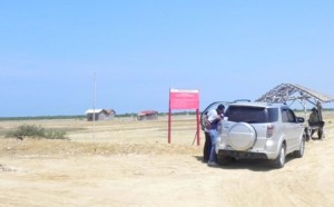 HAMPARAN. Hutan lindung di di Dusun Trokem, Desa Majungan, Kecamatan Pademawu, Pamekasan, Madura, yang beralih fungsi jadi tambak garam.