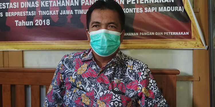 Sempat Ramai Penyakit PMK, Begini Kata DKPP Pamekasan