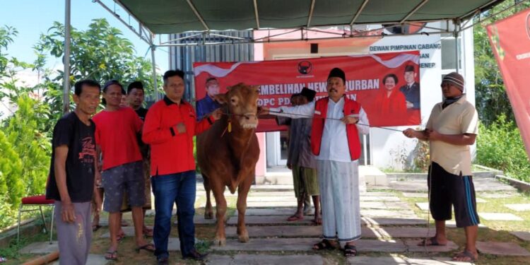 Iduladha 1443 H, DPC dan PAC PDI Perjuangan Sumenep Berkurban 22 Ekor Sapi