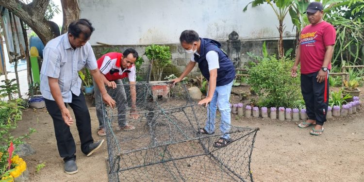 KKP Optimalkan Peran Penyuluh Perikanan di Program Kalaju, Ini Tujuannya